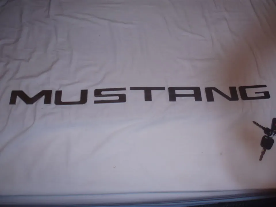 Picture002.webp