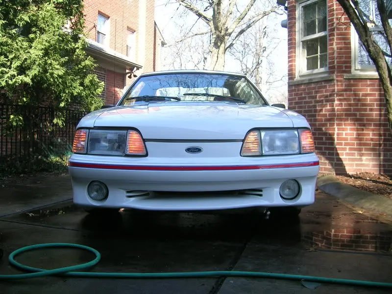 Picture002.webp
