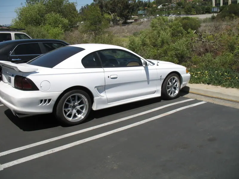 Picture002.webp