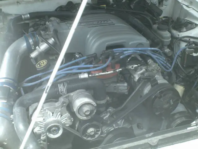 Picture002.webp