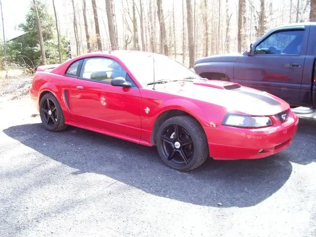 Picture003.webp