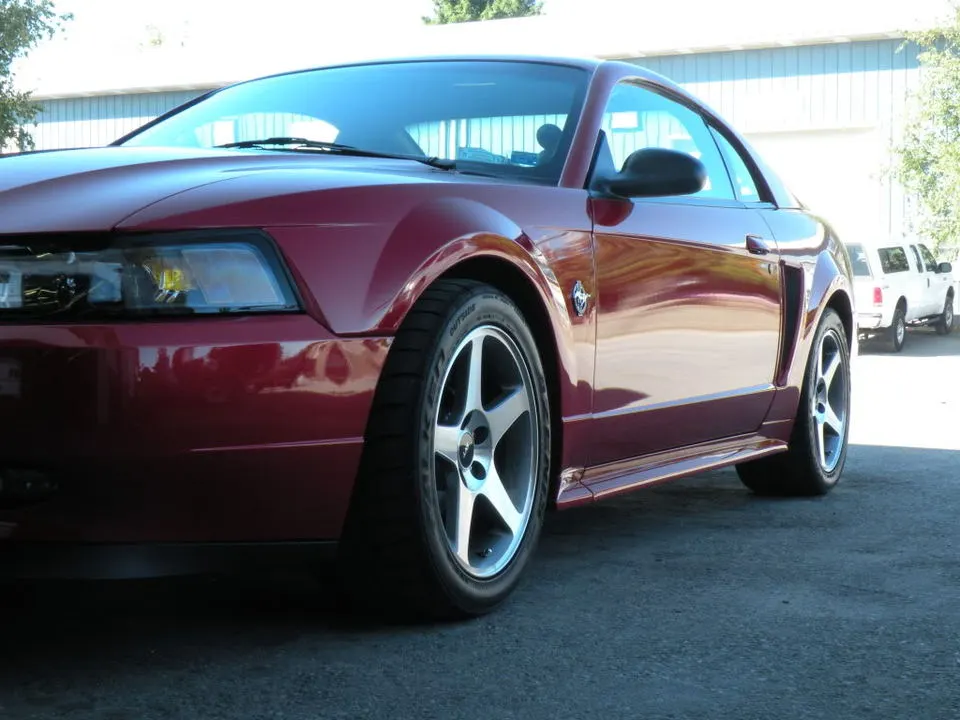 Picture003.webp