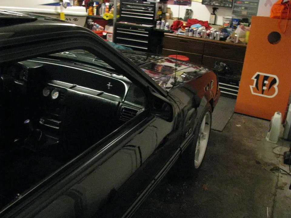 Picture003.webp