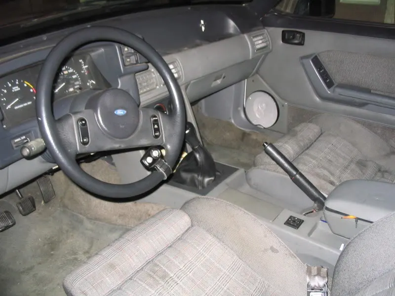 Picture003.webp