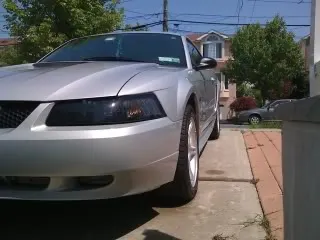 Picture003.webp