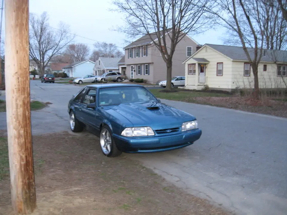 Picture003.webp