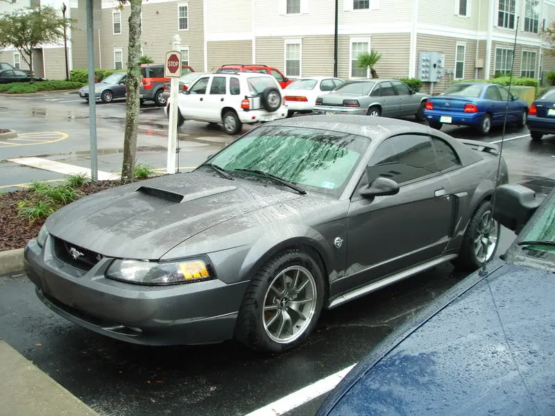 Picture003.webp