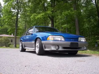 Picture003.webp