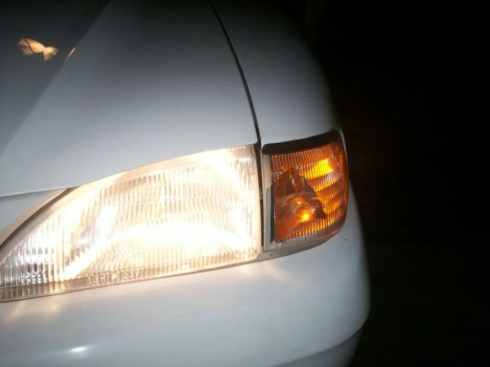 Picture003.webp