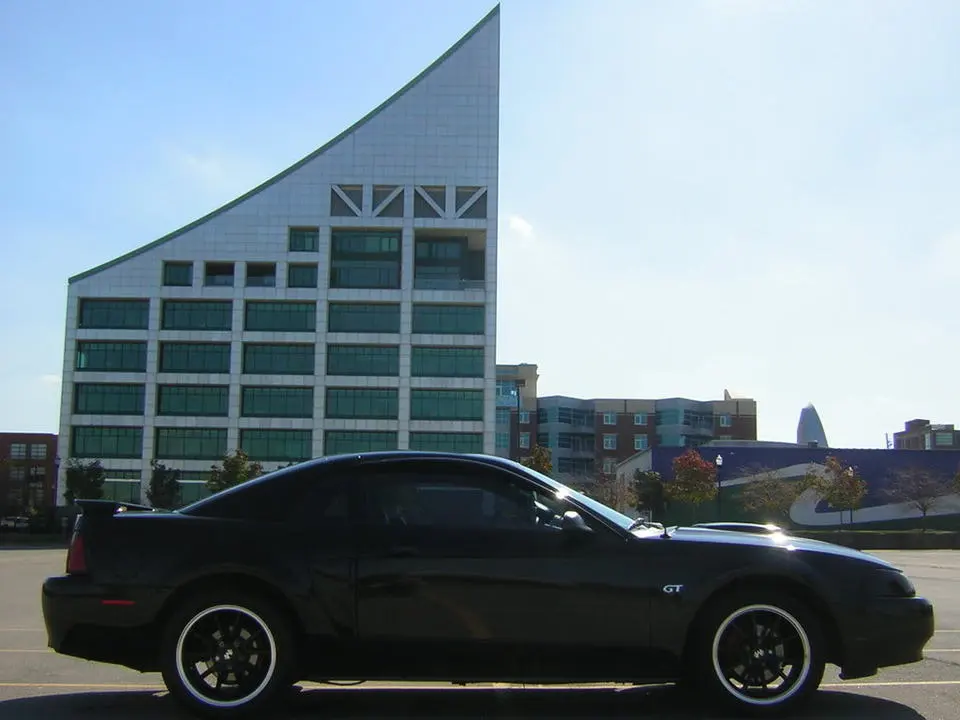 Picture004.webp