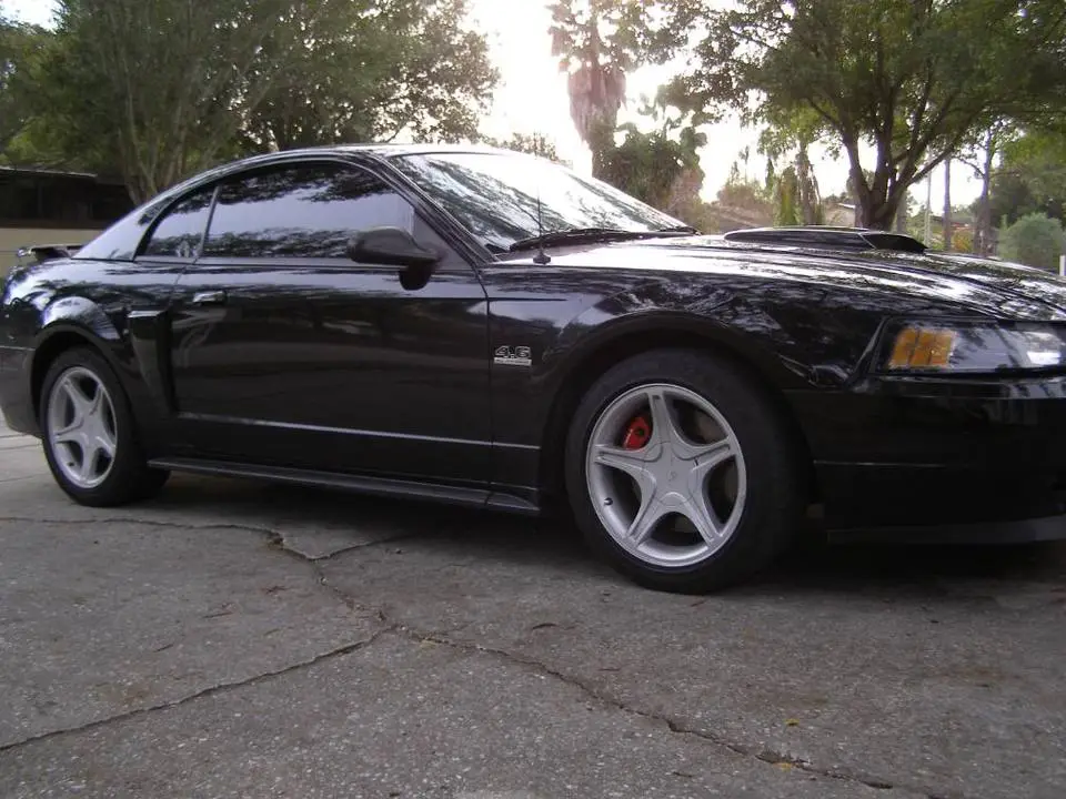 Picture004.webp