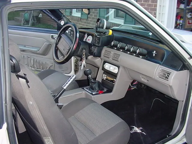 Picture004.webp