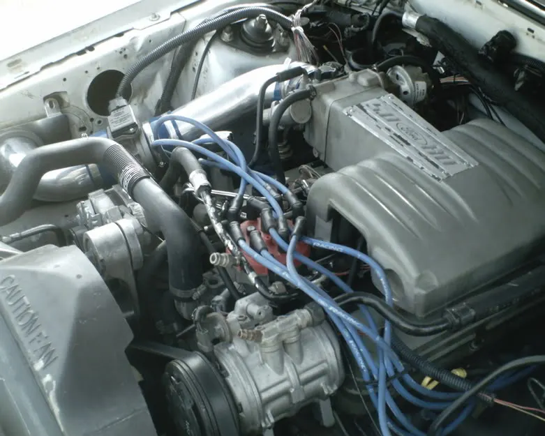 Picture004.webp