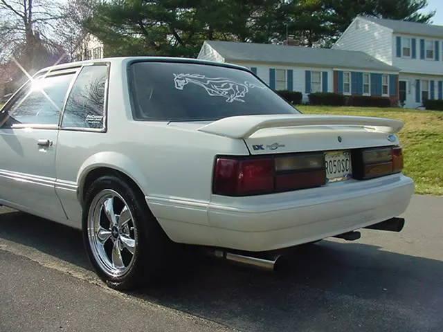 Picture004.webp