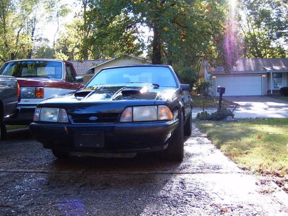 Picture005-1.webp