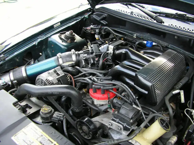 Picture005.webp