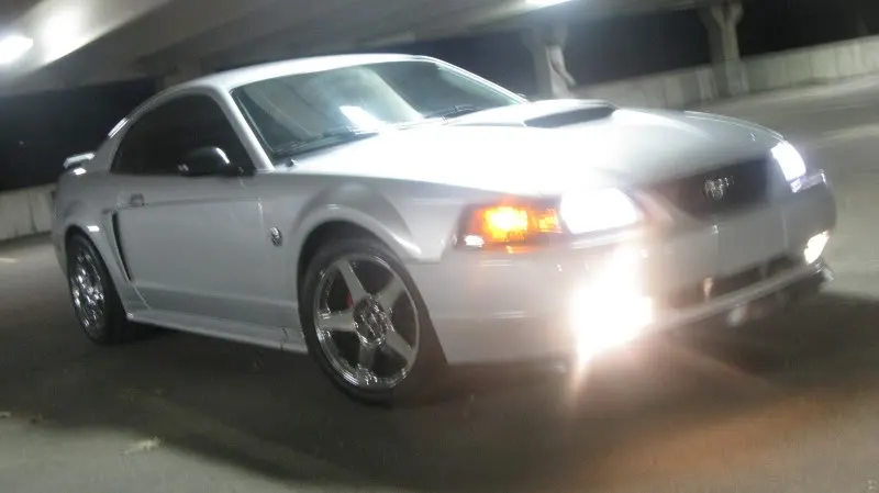 Picture005.webp