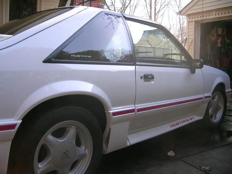 Picture005.webp