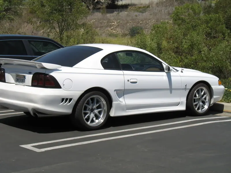 Picture005.webp