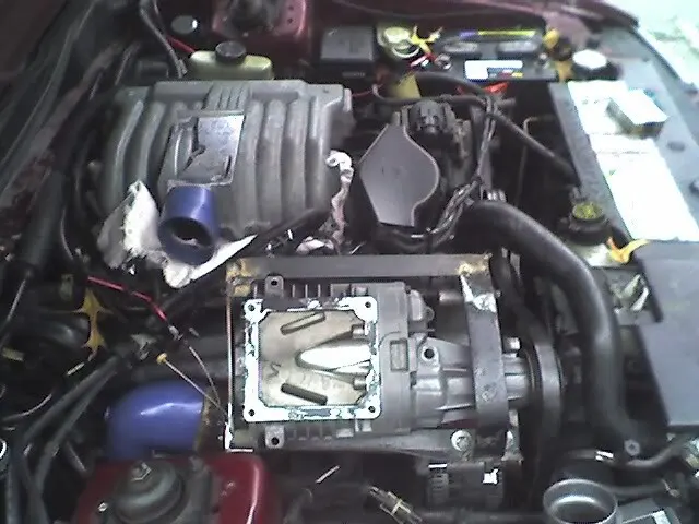 Picture005.webp