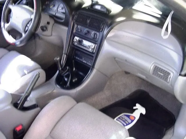 Picture005.webp