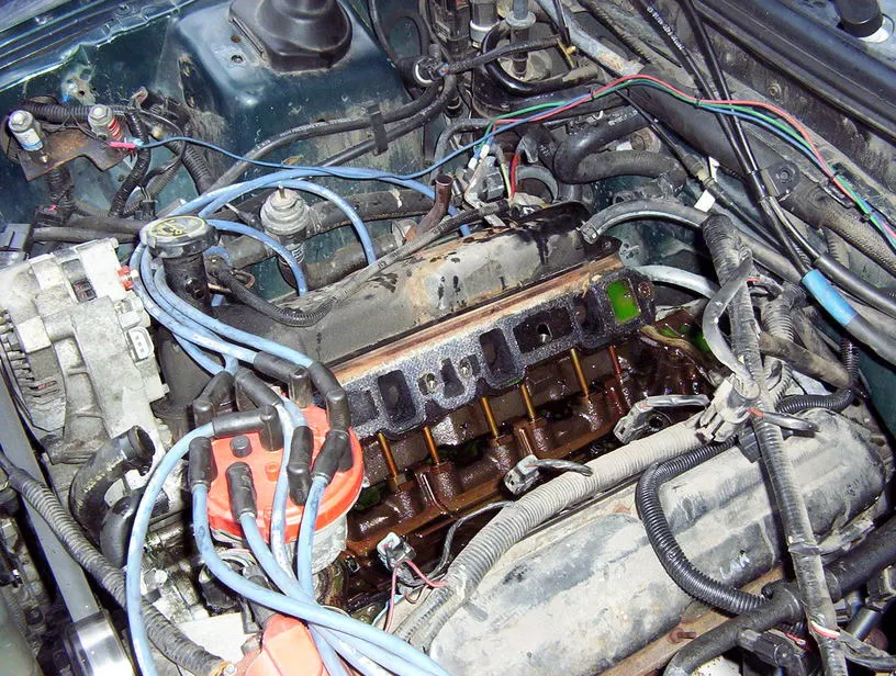 Picture005.webp