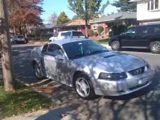 Picture006.webp