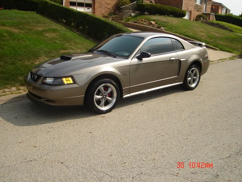 Picture006.webp