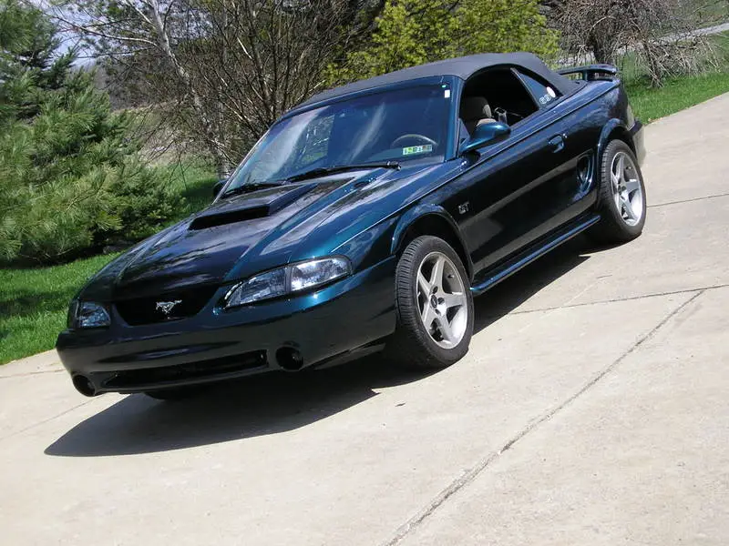 Picture007-1.webp