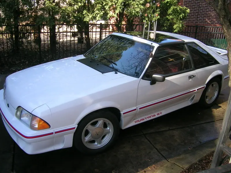 Picture007.webp