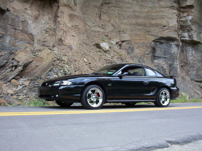 Picture007.webp