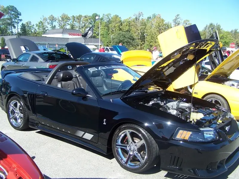 Picture007.webp