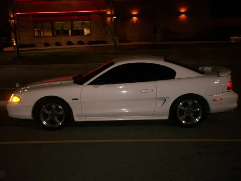 Picture007.webp