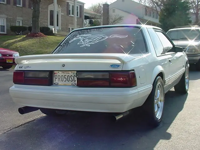 Picture007.webp