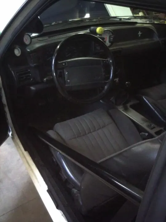 Picture008.webp