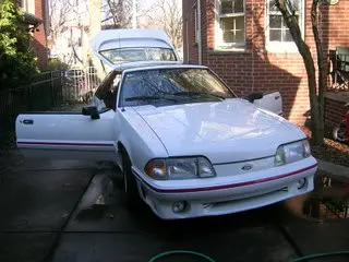 Picture008.webp