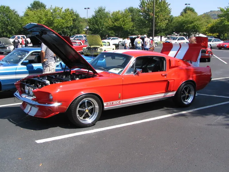 Picture008.webp