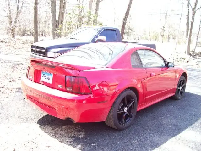 Picture009.webp