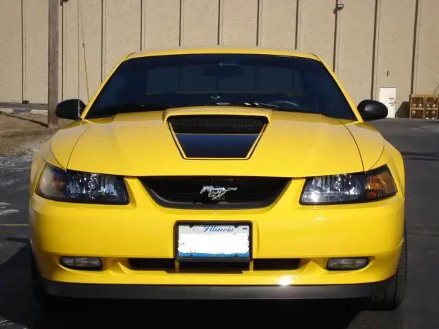Picture009.webp