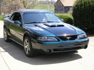 Picture009.webp
