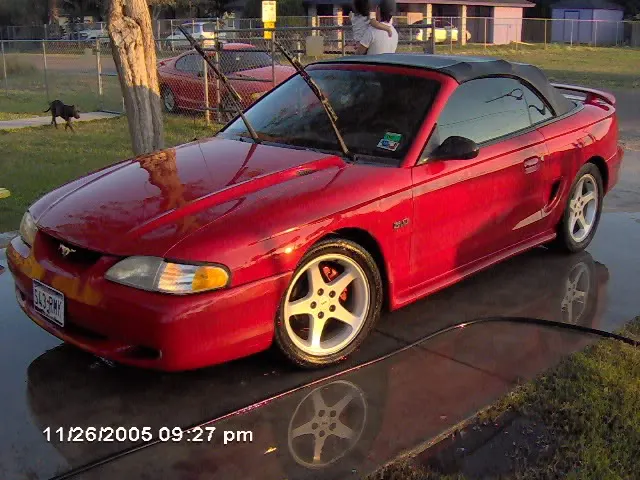 Picture009.webp