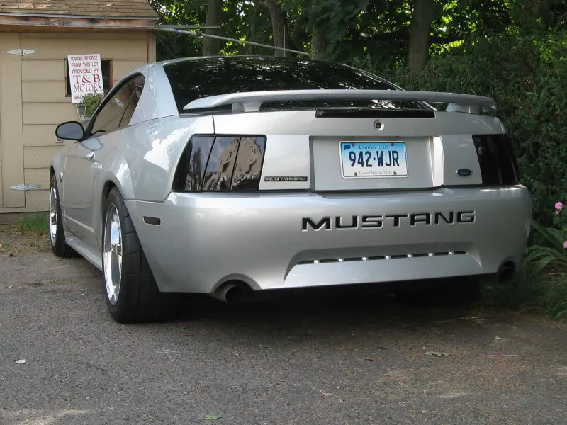 Picture010.webp