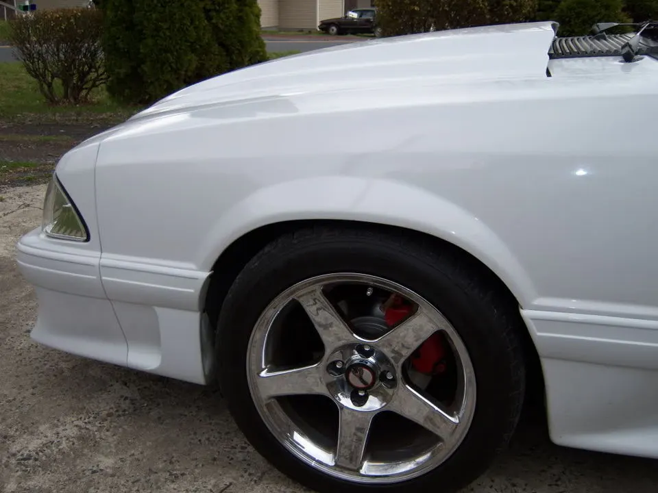 Picture010.webp