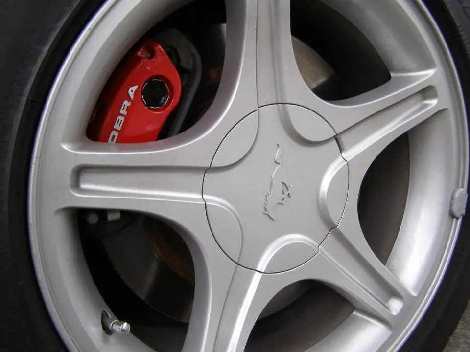 Picture010.webp