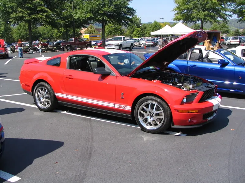 Picture010.webp