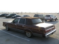 picture010br0.th.webp