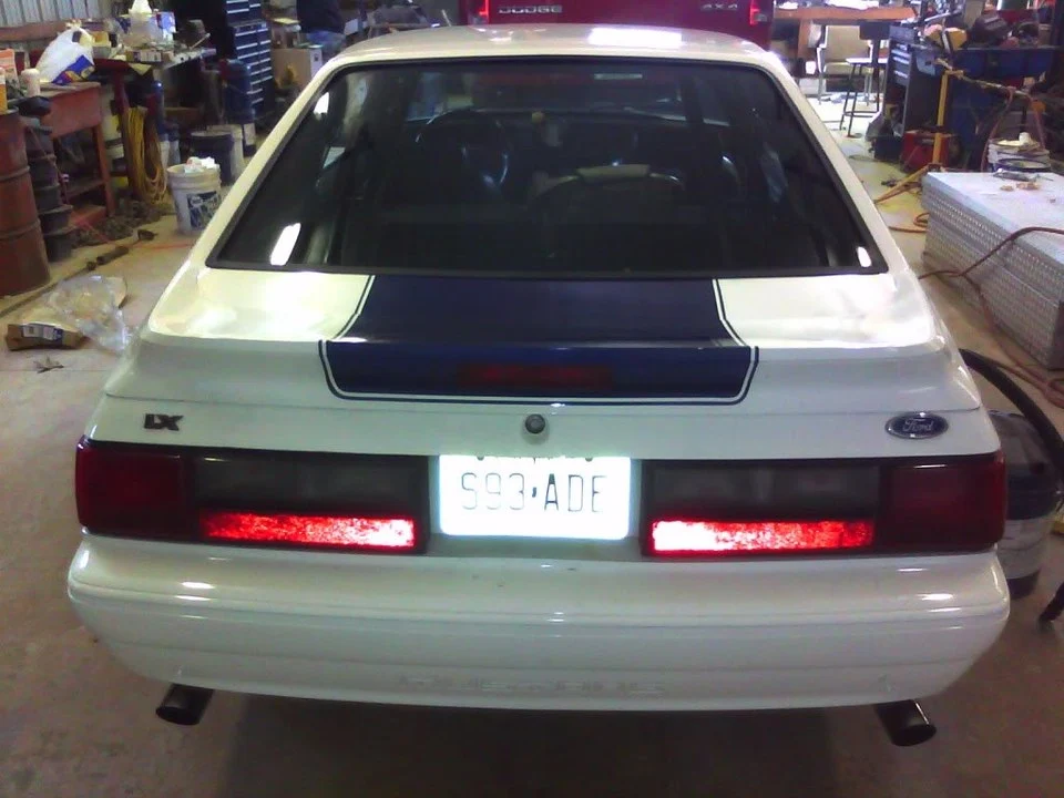 Picture013.webp