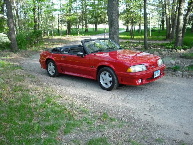 Picture013.webp