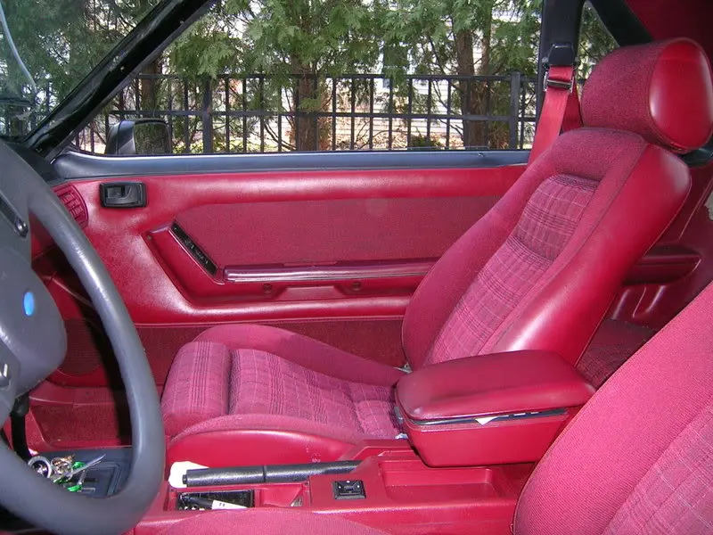 Picture013.webp