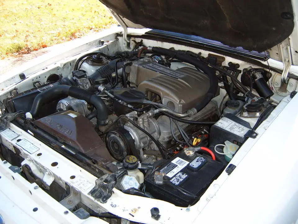 Picture013.webp